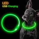 LED Lighted Pet Safety Collar: Bright, Rechargeable, Weatherproof Glow Collar  ourlum   