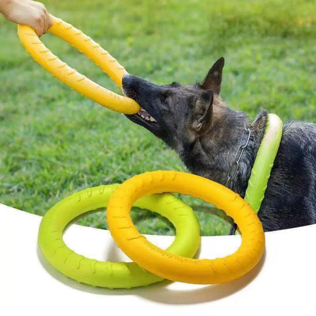 Dog Ring Toys: Gentle on Teeth, Perfect for Training & Play  ourlum.com   