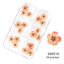 12/18Pcs/box 3D Dried Flowers Nail Art Decorations Dry Floral Bloom Stickers DIY Manicure Charms Designs For Nails Accessories  ourlum.com SSDF16  