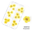 12/18Pcs/box 3D Dried Flowers Nail Art Decorations Dry Floral Bloom Stickers DIY Manicure Charms Designs For Nails Accessories  ourlum.com SSDF24  