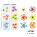 12/18Pcs/box 3D Dried Flowers Nail Art Decorations Dry Floral Bloom Stickers DIY Manicure Charms Designs For Nails Accessories  ourlum.com SSDF27  