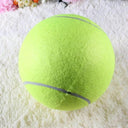 Giant Dog Tennis Ball for Interactive Chew & Play Toy