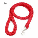 Nylon Dog Harness Leash for Medium Large Dogs Walking Hiking