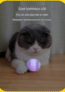 Electric Cat Toy Smart Jumping Ball USB Charging Bounce