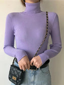 Cozy Chic Slim Fit Turtleneck Sweater for Fall Fashion