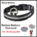 LED Light Up Dog Collar: Customizable Night Safety, Waterproof, Multiple Flash Modes  ourlum.com Black Button Battery XS Neck 28-38 CM United State