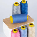 Polyester Sewing Thread Set for Professional Embroidery Tools  ourlum.com   