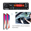 Bluetooth Amplifier Board Karaoke Microphone Car Audio Player