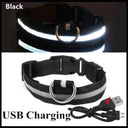 LED Light Up Dog Collar: Customizable Night Safety, Waterproof, Multiple Flash Modes  ourlum.com Black USB Charging XS Neck 28-38 CM United State