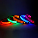 Glowing Nylon LED Dog Leash and Collar Set for Night Safety  ourlum.com   