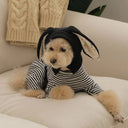 Cute Rabbit Ears Pet Knitted Hat for Autumn Winter Warm