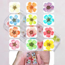 12/18Pcs/box 3D Dried Flowers Nail Art Decorations Dry Floral Bloom Stickers DIY Manicure Charms Designs For Nails Accessories  ourlum.com   