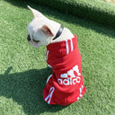 Adidog Luxury Winter Sweater for Small to Medium Dogs