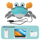 Crawling Crab Octopus Toy: Interactive Musical Educational Toddler Gift  ourlum.com   