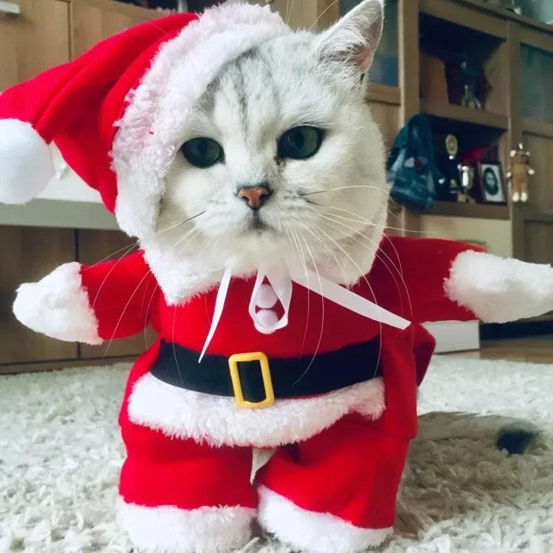 Santa Claus Pet Winter Costume for Dogs and Cats: Stay Festive & Cozy  ourlum.com   