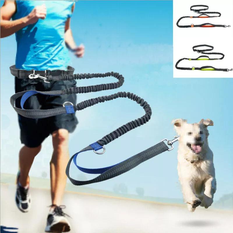 Reflective Hands-Free Dog Leash with D-Ring Metal Harness  ourlum.com   