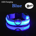 LED Dog Collar: Stay Visible & Safe at Night with USB Rechargeable Lights  ourlum.com Blue USB Charging XS NECK 20-37 CM 