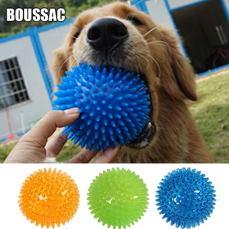 Pet Interactive Dental Care Toy: Colorful Squeaky Chew Ball for Dogs  ourlum.com   