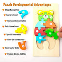 Wooden Puzzle Educational Cartoon Animals Learning Game for Kids  ourlum.com   