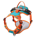 Adjustable Nylon Dog Harness with Reflective Vest: Comfortable & Secure Fit  ourlum.com 06 XL 