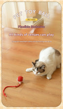 Interactive Cat Toys Ball Auto Electric Rolling Ball Toys