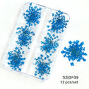 12/18Pcs/box 3D Dried Flowers Nail Art Decorations Dry Floral Bloom Stickers DIY Manicure Charms Designs For Nails Accessories  ourlum.com SSDF09  