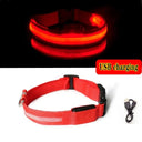 LED Dog Collar Light: High Visibility Anti-lost Night Safety Pet Accessory  ourlum.com Red USB charging XS 