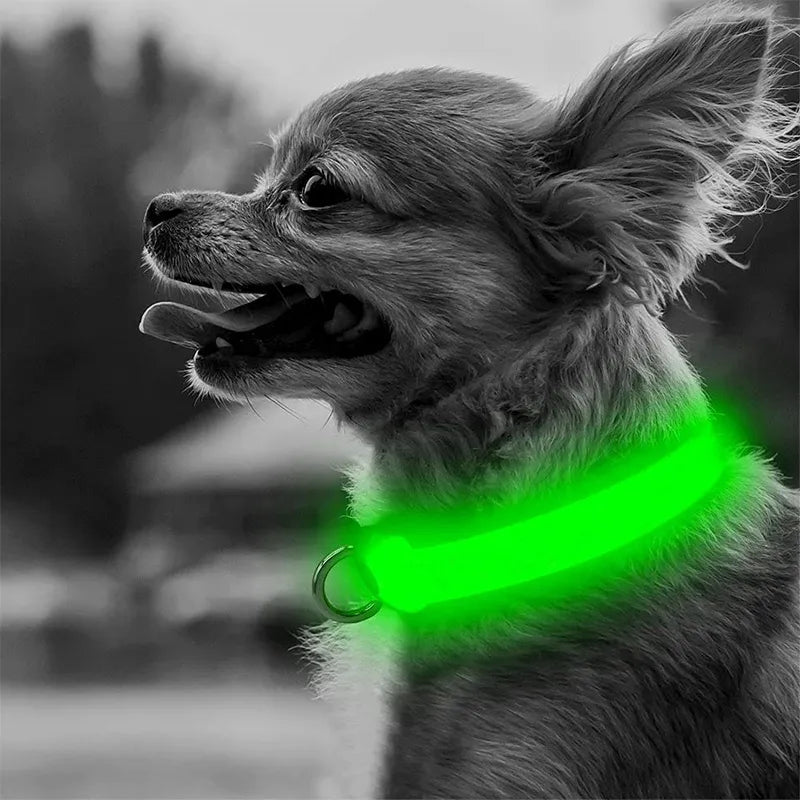 LED Glow Safety Dog Collar: Adjustable Flashing Necklace for Dogs and Cats  ourlum.com   