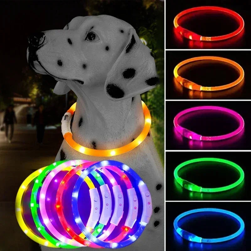 LED Pet Dog Collar Glowing Safety Light USB Flashing Luminous Necklace  ourlum.com   