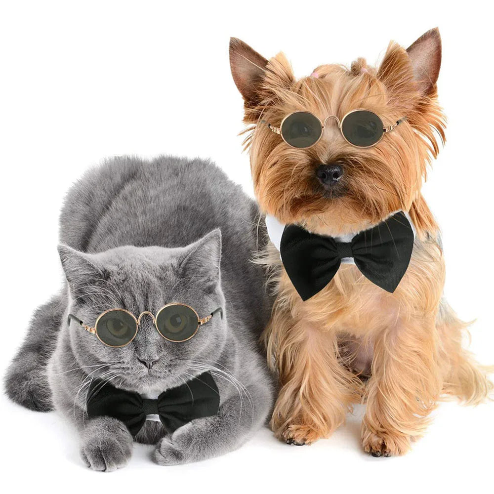 Cat and Dog Glasses Set: Stylish Pet Sunglasses for Cosplay and Photos  ourlum.com   