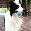 Bite-Resistant Beef-Flavored Rubber Ball for Dog Training