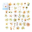 Flower Language Kawaii Sticker Set: Enhance Your Creations with Whimsical Charm  ourlum.com C  