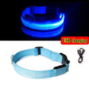 LED Dog Collar Light: High Visibility Anti-lost Night Safety Pet Accessory  ourlum.com Blue USB charging XS 