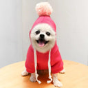 Cute Fruit Dog Hoodies: Warm Fleece Clothing for Small Dogs  ourlum.com 1 Rose Red XS 