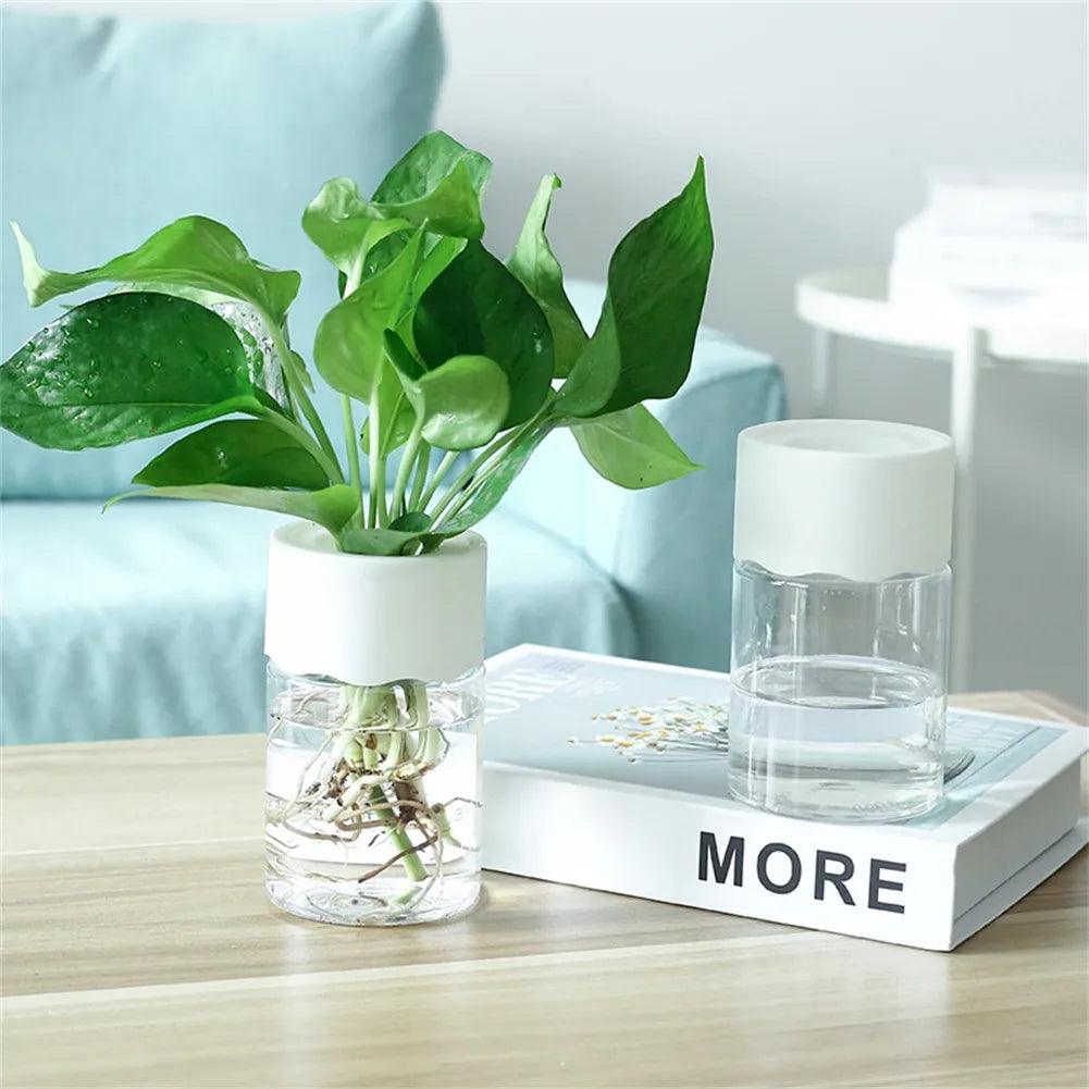 Hydroponic Glass Flower Pot: Modern Decor for Green Plants  ourlum.com   