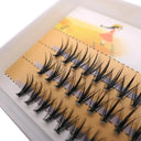 20D/30D Mink Eyelashes 1 Box /60 Bundles Natural eyelashes extension 3D Russia Individual Eyelash Cluster Makeup Tools Eye black  ourlum.com   