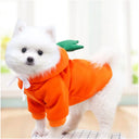 Cute Fruit Dog Clothes for Small Dogs Warm Hoodies Fleece