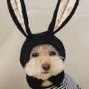 Cute Rabbit Ears Pet Knitted Hat for Autumn Winter Warm