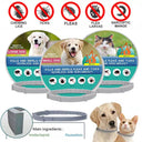 Anti-Flea Collar for Dogs and Cats: Long-Lasting Protection and Water-Resistant  ourlum.com   