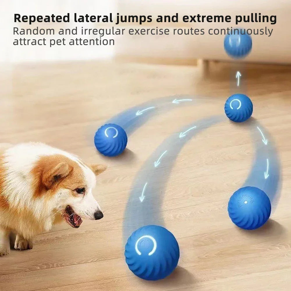 Interactive Smart Dog Toy Ball: Engaging USB Moving Bouncing Pet Fun  ourlum.com   