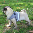 Adjustable Mesh Vest Dog Harness with Leash for Safety and Comfort in XS/S/M/L/XL Sizes  ourlum.com   