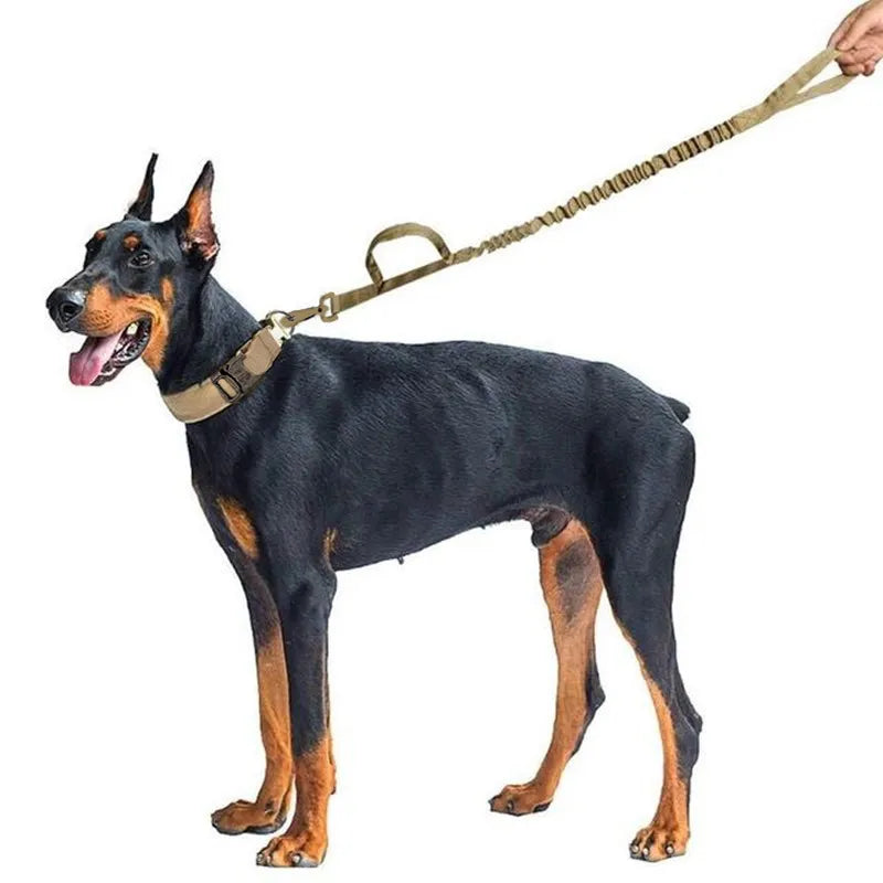 Military Tactical Dog Collar with Durable Nylon Lead & Breakaway Leash  ourlum.com   
