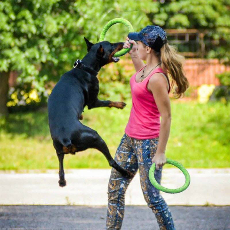 Interactive Dog Training Ring Puller Flying Discs Toy  ourlum.com   