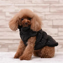 Winter Pet Down Jacket Cozy Coat for Small Dogs Cats