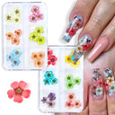 12/18Pcs/box 3D Dried Flowers Nail Art Decorations Dry Floral Bloom Stickers DIY Manicure Charms Designs For Nails Accessories  ourlum.com   