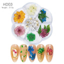 12/18Pcs/box 3D Dried Flowers Nail Art Decorations Dry Floral Bloom Stickers DIY Manicure Charms Designs For Nails Accessories  ourlum.com HD03  