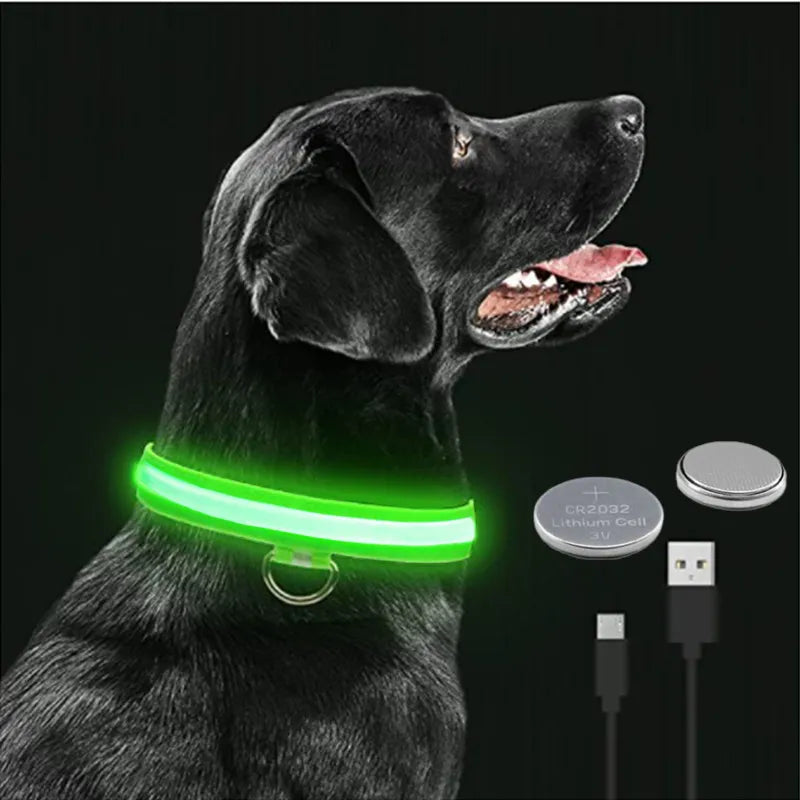 LED Light Up Dog Collar: Customizable Night Safety, Waterproof, Multiple Flash Modes  ourlum.com   