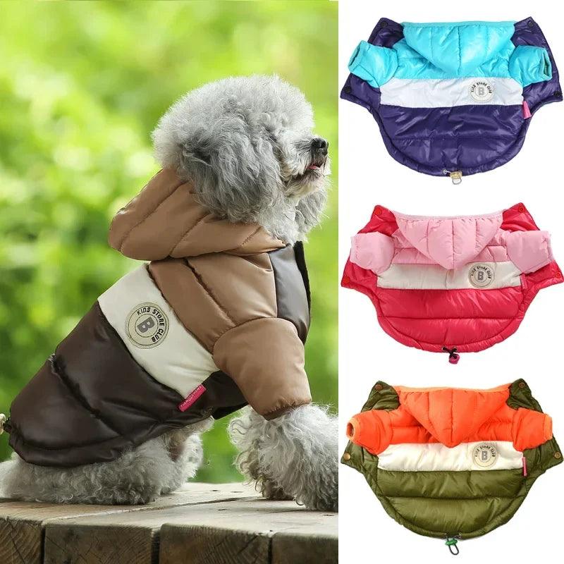 Cozy Cotton Winter Dog Jacket: Stylish Waterproof Coat for Small to Medium Breeds  ourlum.com   