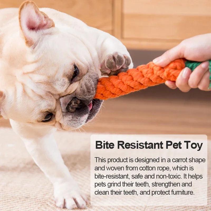 Pet Dog Cartoon Chew Toy: Durable Braided Bite Resistant Teeth Cleaning Rope  ourlum.com   