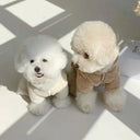 Winter Dog Clothes for Small Medium Dogs Hoodies